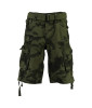 Kép